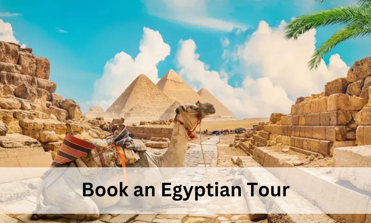 book an perfect Egyptian