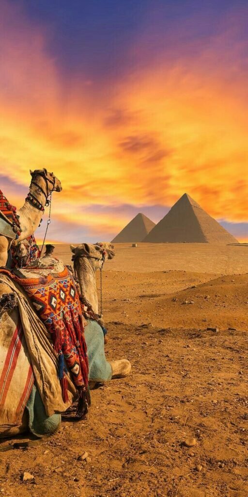 "A Magical Day Tour to the Pyramids and the Egyptian Museum – Discover the Greatness of History in 24 Hours!"