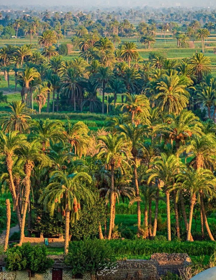 2days 1night from Cairo to ElMinya