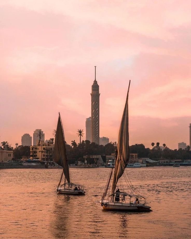 8days 7nights Cairo ALEX and siwa Oasis