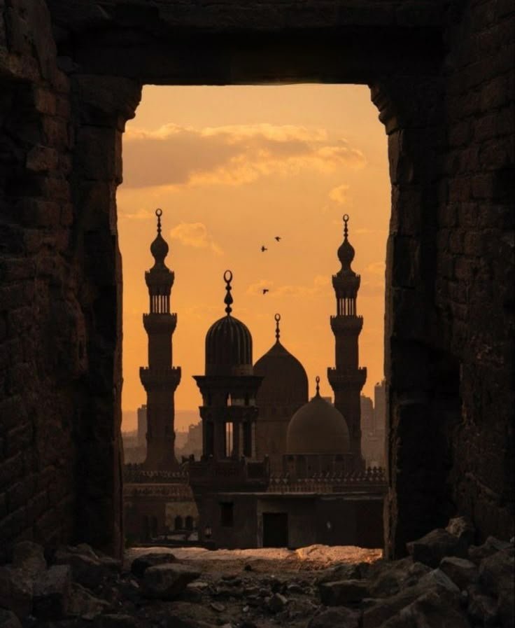 7days 6nights Cairo and Alexandria