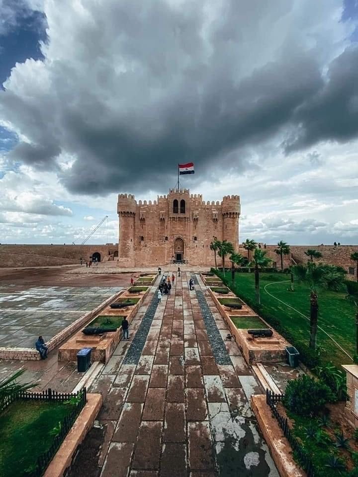 7days Cairo and Alexandria and ElMniya itinerary