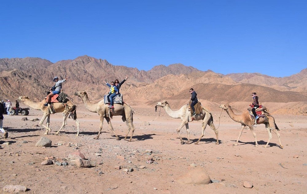 Half Day tour to Safari in Hurghada
