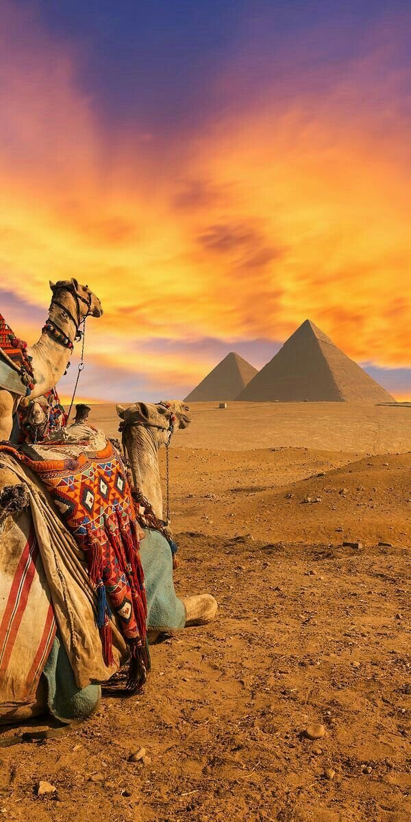 Half Day tour Safari at Giza Pyramids