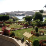 Gallery Thumbnail 10