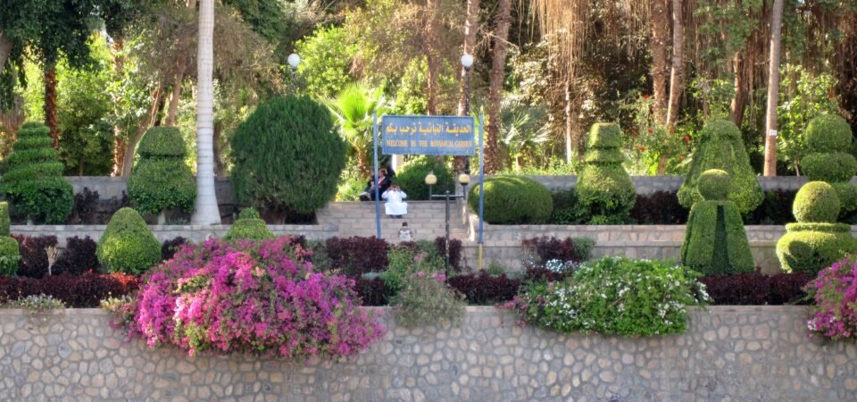 aswan botanical garden