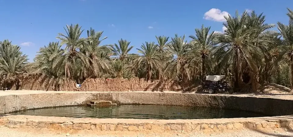 Egypt tour 7 days