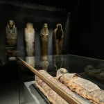 Gallery Thumbnail 5