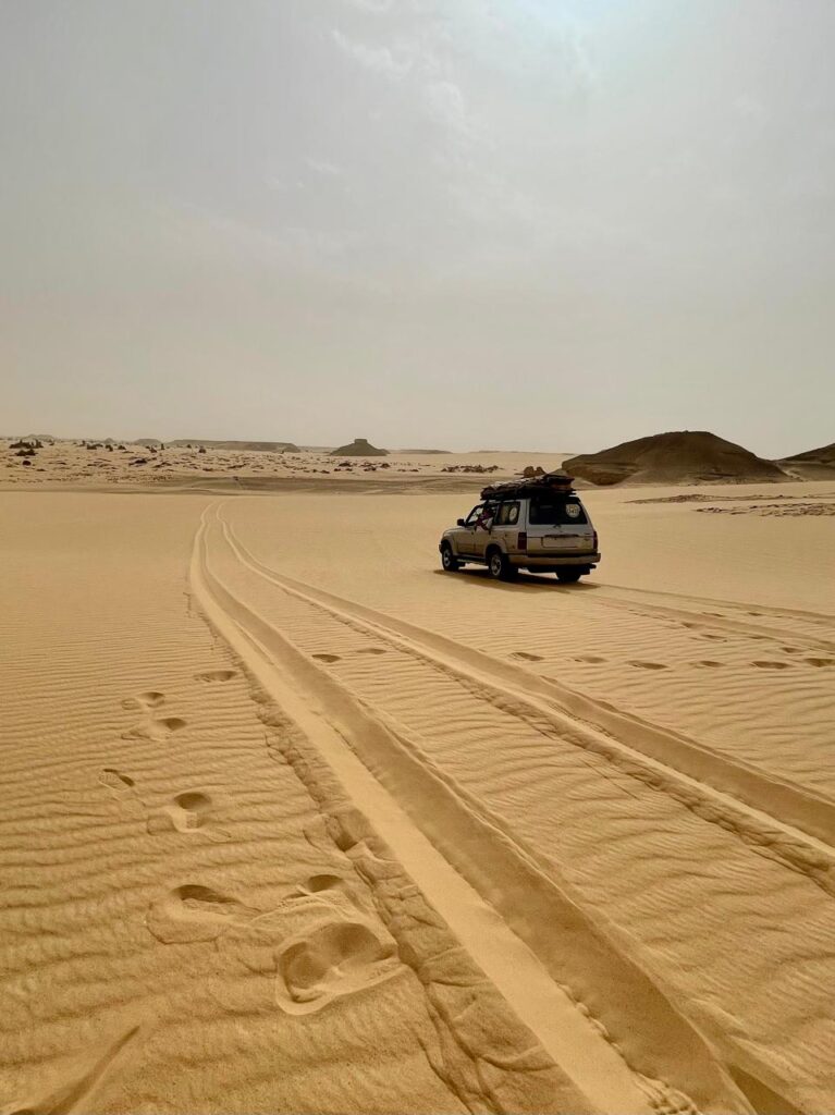 A Special tour in Egypt