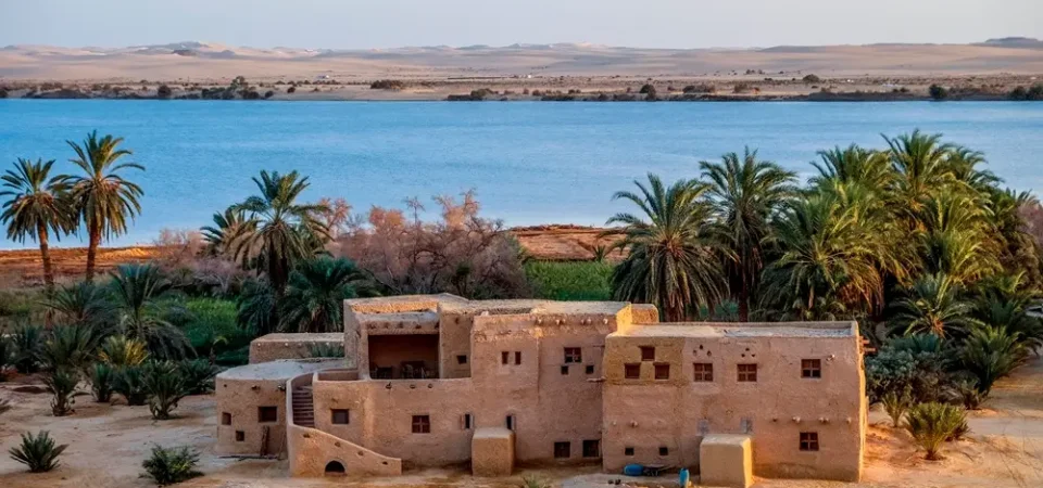 Siwa Oasis tour from Cairo