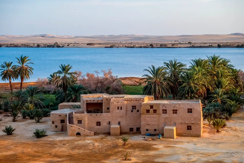 Siwa Oasis tour from Cairo