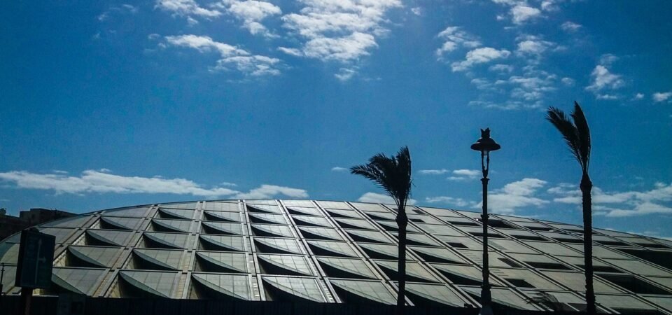 the library of alexandria