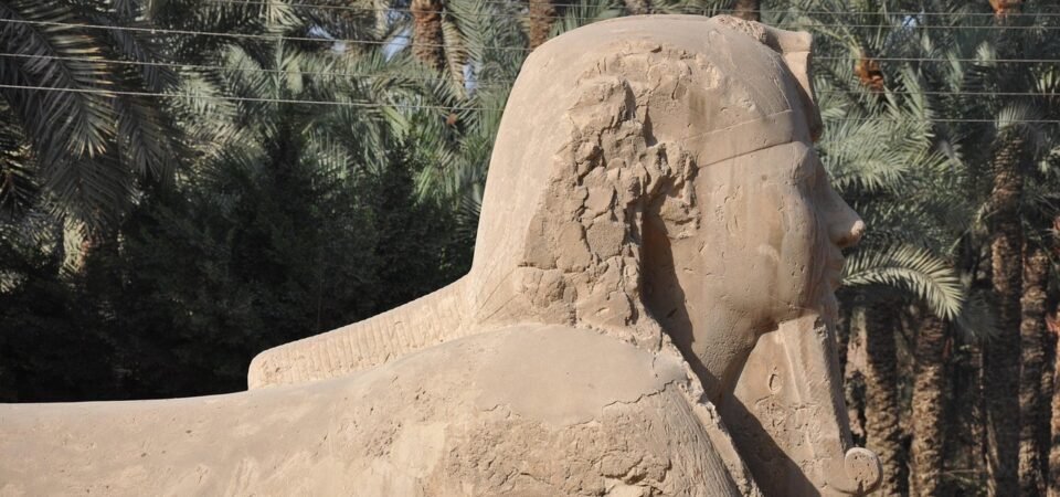 granite sphinx at memphis museum