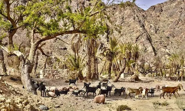 Egypt spiritual tours
