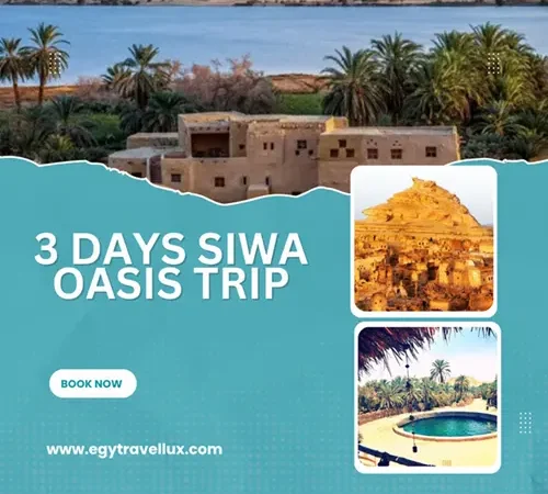 Siwa Oasis trip