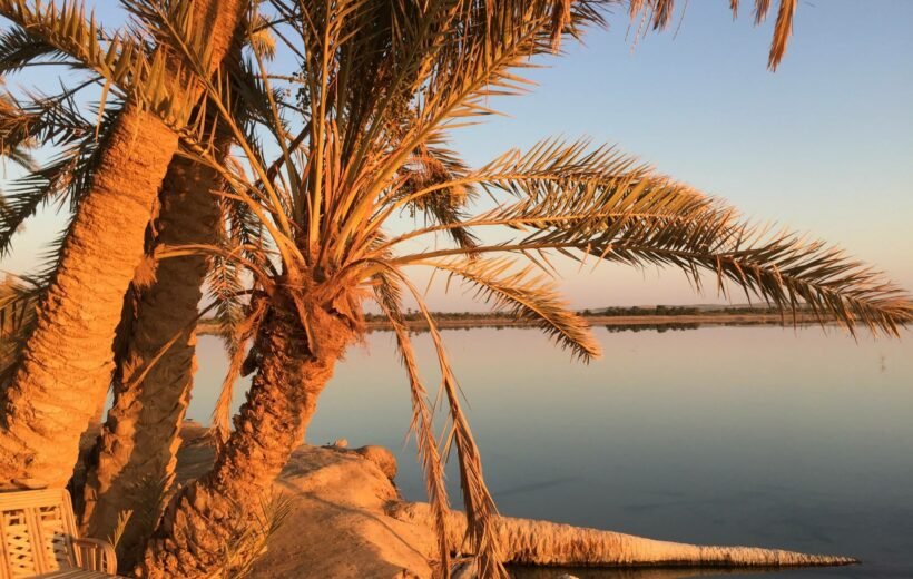 Luxury Egypt tour 7 days: Cairo, Alexandria & Siwa Oasis