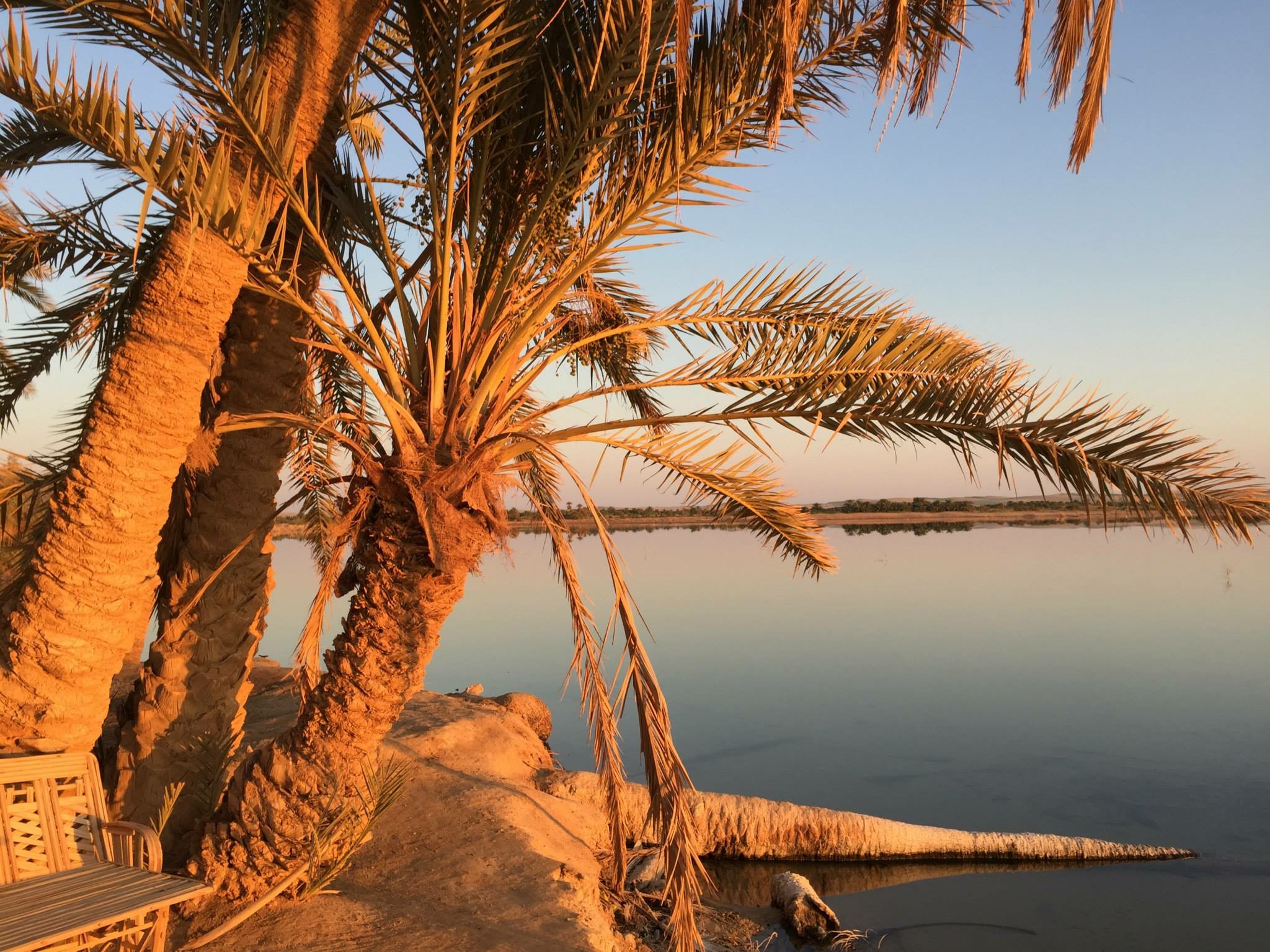 Egypt tour 7 days