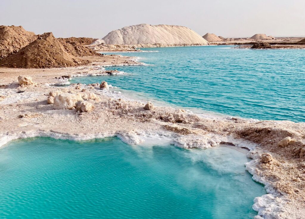 siwa oasis tour​