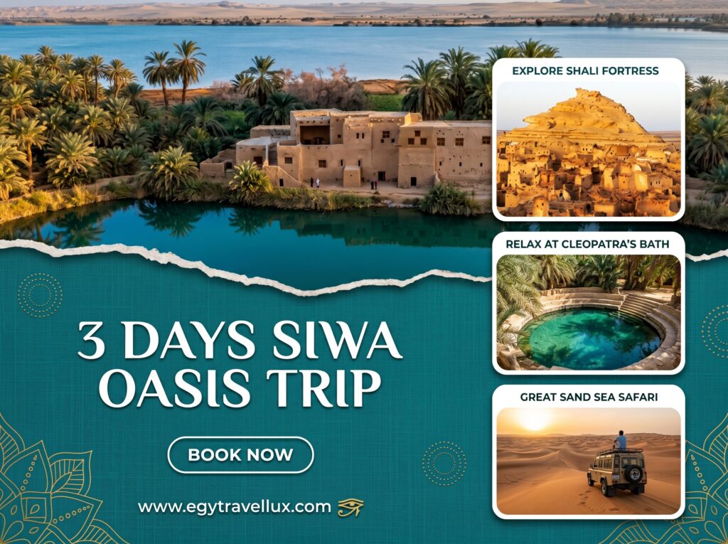 Siwa Oasis trip