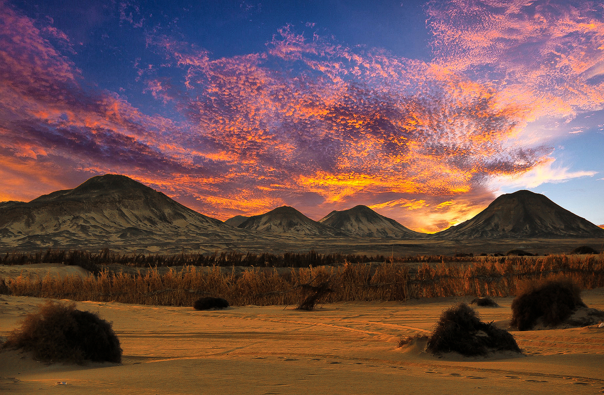 bahariya oasis tour