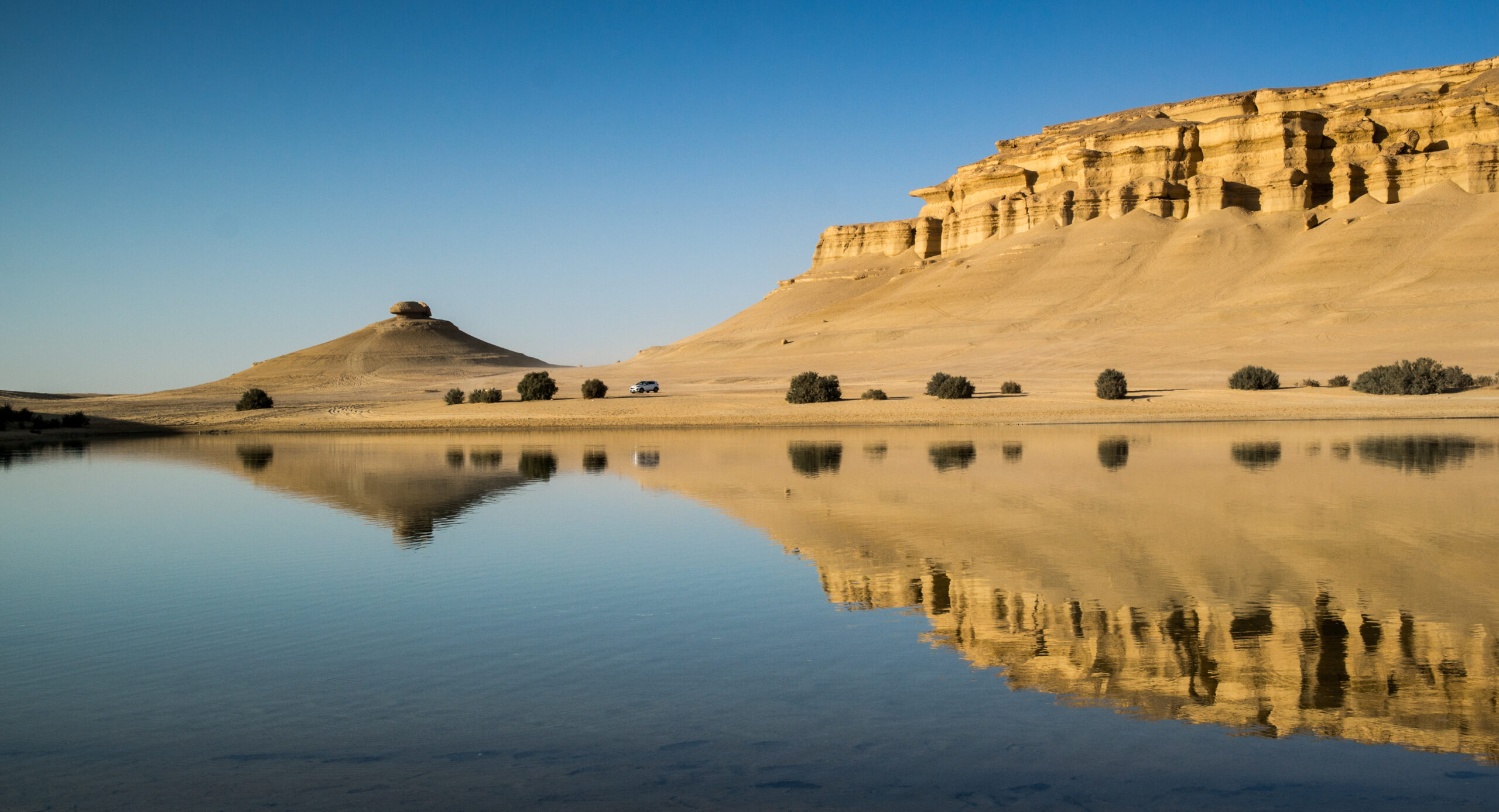 fayoum oasis tour