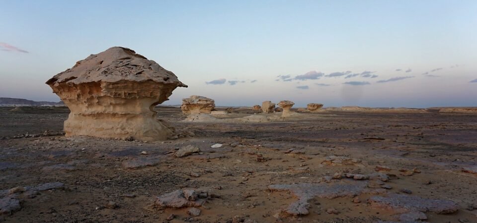 bahariya oases