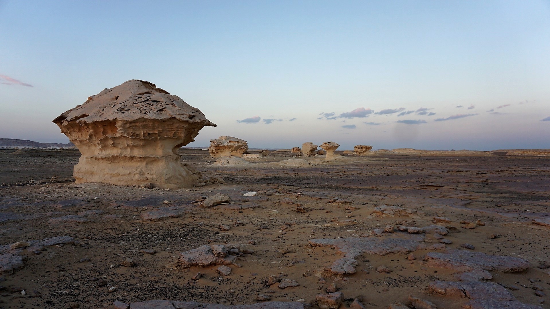 bahariya oases