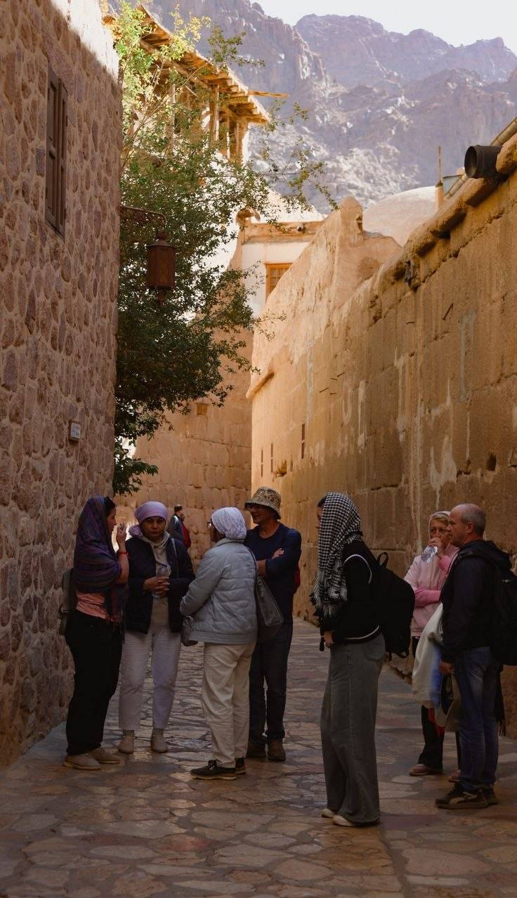 Best Time to Visit Saint Catherine