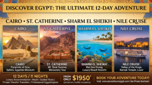 Cairo, St. Catherine, Sharm El Sheikh & Nile Cruise (12 Days) from 1950$